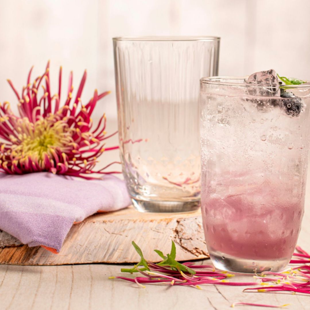 vaso-alto-estambul-443cc-